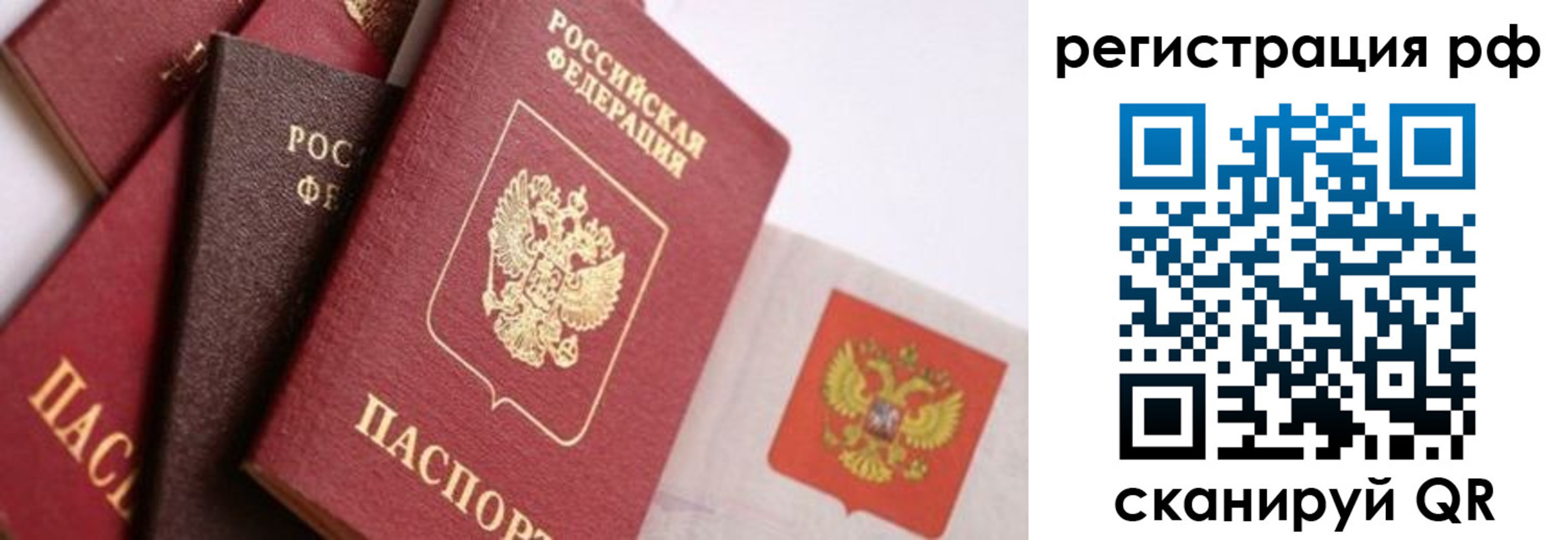 временная регистрация госуслуги в Воронежской области